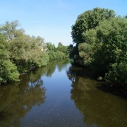 die Sieg in Hennef <p>Fluss mit Bäumen an beiden Ufern, ruhiges Wasser, klarer Himmel, naturreiche Umgebung.</p>
