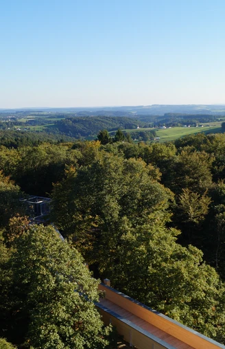 Blick vom Aussichtsturm auf Panarbora Panoramablick über eine bewaldete Hügelkette mit Blick auf grüne Täler und weiten Himmel im Hintergrund.