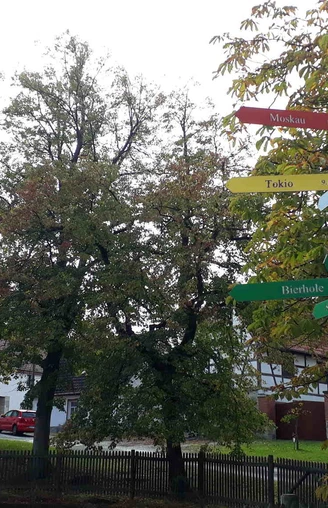 jacobuspilgerweg_zwischen_naumburg_und_eckartsberga