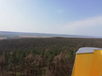aussicht_vom_aussichtsturm