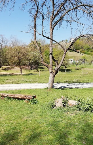 weinweg