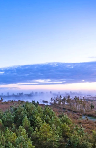 Weiter Blick über das vernebelte Huvenhoopsmoor Weiter Blick über das vernebelte Huvenhoopsmoor