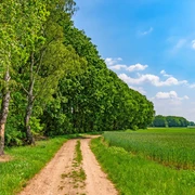 Holzbank an einem Feldweg des NORDPFADES Riepholm-Gilkenheide Holzbank an einem Feldweg des NORDPFADES Riepholm-Gilkenheide