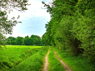 Die grüne Veerseniederung Die grüne Veerseniederung