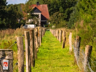 Wanderweg entlang der Pferdekoppel auf dem NORDPFAD Huvenhoopsmoor. Wanderweg entlang der Pferdekoppel auf dem NORDPFAD Huvenhoopsmoor.