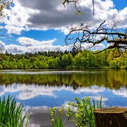 Der malerische Federlohmühlenteich Der malerische Federlohmühlenteich