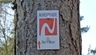 Logo und Markierungszeichen des NORDPFADES Dör't Moor Logo und Markierungszeichen des NORDPFADES Dör't Moor