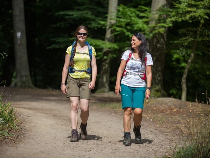 Wandern im Natur- und Geopark TERRA.vita Zwei wandernde Frauen in einem sonnigen Waldweg, lächelnd, mit Rucksäcken.