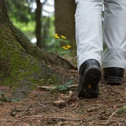 Wandern im Osnabrücker Land  Wanderer mit weißen Hosen und schwarzen Schuhen auf einem Waldweg mit gelben Blumen neben einem Baum.