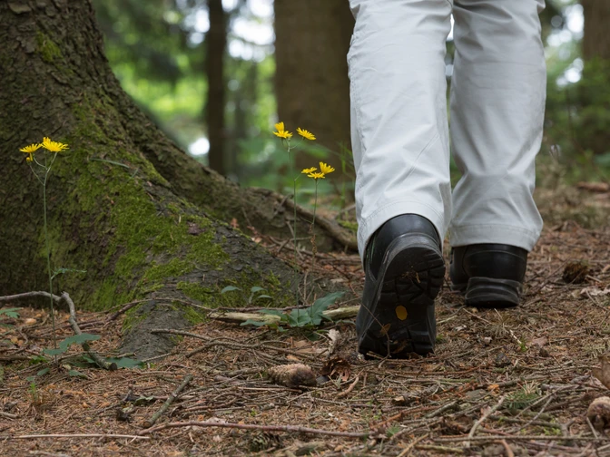 Wandern im Osnabrücker Land  Wanderer mit weißen Hosen und schwarzen Schuhen auf einem Waldweg mit gelben Blumen neben einem Baum.