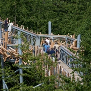 Der Baumwipfelpfad in Bad Iburg Ein Holzwanderweg schlängelt sich durch üppiges grünes Laub, Menschen genießen den Spaziergang.