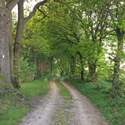 Naturnaher Weg durch ein Waldstück am ORTSWEG Rund um Flötenkiel Naturnaher Weg durch ein Waldstück am ORTSWEG Rund um Flötenkiel