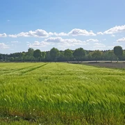 Landwirtschaftliche Weite prägt den ORTSWEG Rund um Rhadereistedt Landwirtschaftliche Weite prägt den ORTSWEG Rund um Rhadereistedt