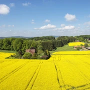 Aussicht vom Wasserturm  Weite gelbe Rapsfelder mit vereinzelten Bauernhäusern unter blauem Himmel im ländlichen Umfeld.