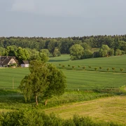 Landschaft bei Hasbergen  Fachwerkhaus am Waldrand, umgeben von weiten, grünen Feldern und sanften Hügeln.
