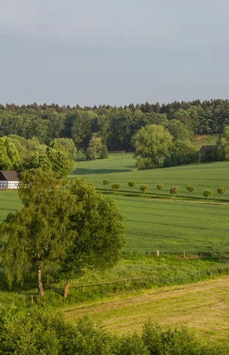 Landschaft bei Hasbergen  Fachwerkhaus am Waldrand, umgeben von weiten, grünen Feldern und sanften Hügeln.