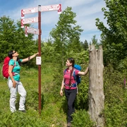 Beschilderung des Wanderweges Zwei Wanderer studieren Wegweiser in einer grünen, bewaldeten Umgebung.