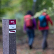 Wegweiser zur Terra Track Wanderroute im Riesenbecker Wald mit unscharfen Wanderern im Hintergrund.