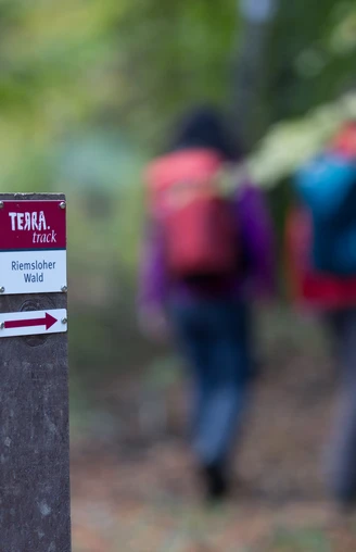 Beschilderung im Riemsloher Wald Wegweiser zur Terra Track Wanderroute im Riesenbecker Wald mit unscharfen Wanderern im Hintergrund.