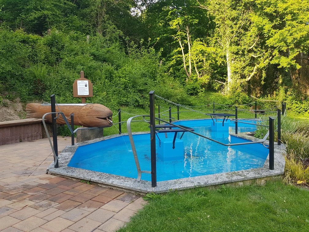 5_tretbecken_fuerstenau_hx1_stephanberg Tretbecken auf einer Lichtung