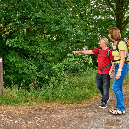 Wandern im Venner Moor Wanderer betrachten ein Schild in einem grünen Waldstück.
