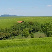 16_wiesenbossbeorn_hx3_stephanberg Grüne Hügel mit verstreuten Bäumen und einem roten Dach in der Ferne unter klarem blauen Himmel.