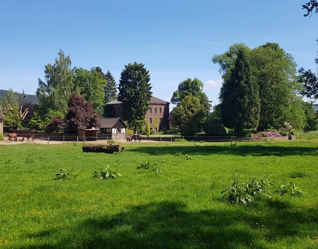 6a_gutmaygadessen_hx3_stephanberg Gutshaus umgeben von Bäumen und Wiesen