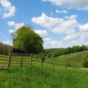 Hügelige Weidenlandschaft bei Brenkhausen Weite, grüne Weiden erstrecken sich über sanfte Hügel, gesäumt von vereinzelten Bäumen unter blauem Himmel.