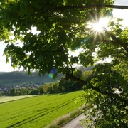 Hudeweg Sonnenlicht filtert durch Äste eines Baumes, beleuchtet eine grüne Wiese und das Dorf im Tal.