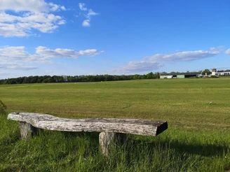 Flugplatz am Räuschenberg Eine Holzbank steht vor einer weitläufigen Wiese unter einem blauen Himmel mit vereinzelten Wolken.
