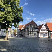 Kirchplatz Nienburg Historische Fachwerkhäuser umrahmen einen gepflasterten Platz mit einem Baum in Nienburg bei Sonnenschein.