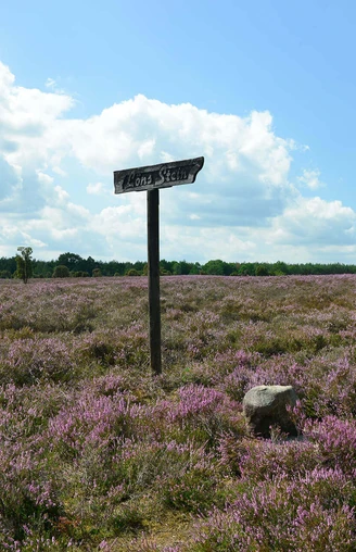 Heiliger Hain Hinweisschild Löns-Stein im Heiligen Hain bei Wahrenholz