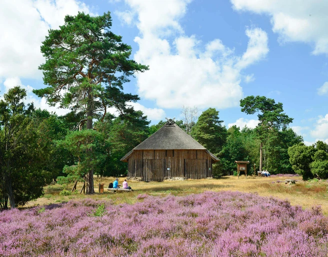 Schafstall am Heiligen Hain Schafstall am Heiligen Hain bei Wahrenholz