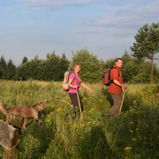 Wanderer Wanderer mit Wanderstöcken und Hund auf blühender Wiese, umgeben von sommerlichen Bäumen.
