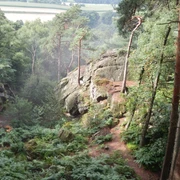 Verwunschene Dörenther Klippen Waldpfad zwischen moosbewachsenen Felsen, umgeben von hohen Bäumen und dichter Vegetation.