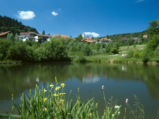 Im Kurpark St. Englmar