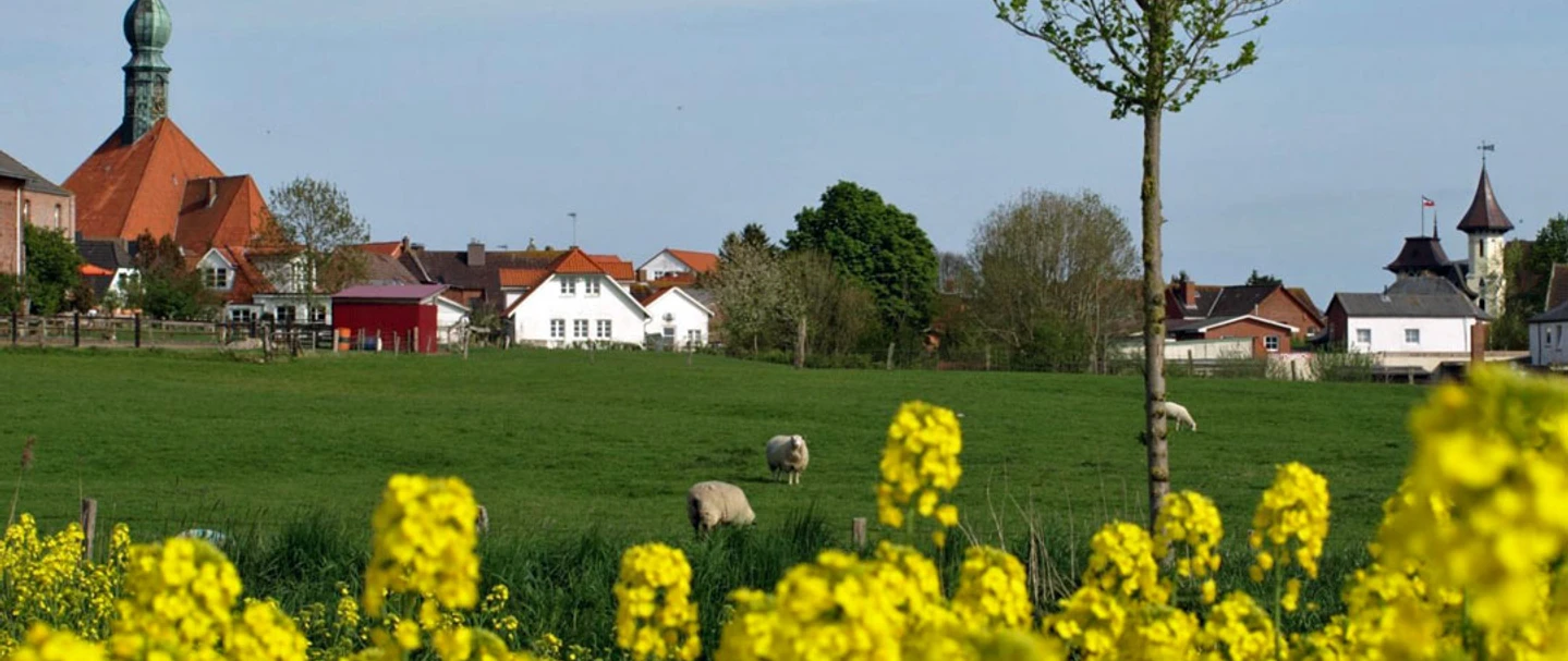 insta-kirche-wesselburen-a-wollatz