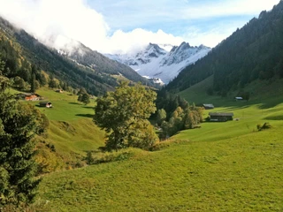 Vue du jardin Grüne Wiesen mit verschneiten Bergen im HintergrundGreen meadows with snow-covered mountains in the backgroundDe vertes prairies avec des montagnes enneigées en arrière-plan