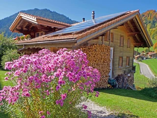 Vue extérieure été