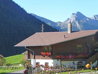 Exterior view in summer