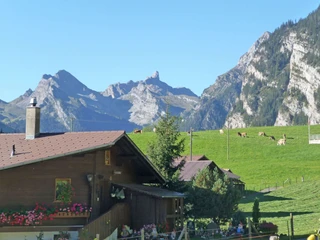 View in summer