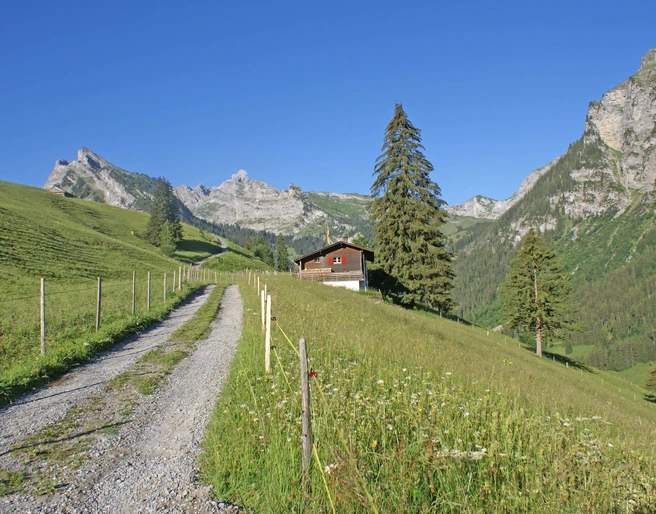 Exterior view in summer