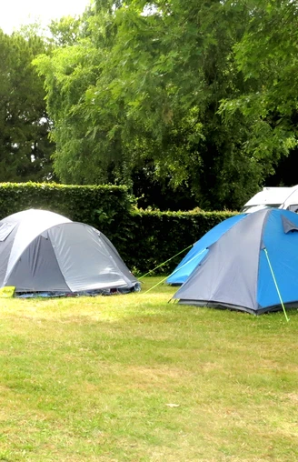 Zeltfläche vom Campingplatz Alte Löweninsel