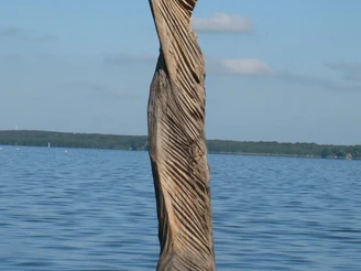 "Papagena im Wind" von Klaus Wolf Simon Holzskulptur "Papagena im Wind" von Klaus Wolf Simon, ragt kraftvoll aus dem ruhigen Wasser hervor.
