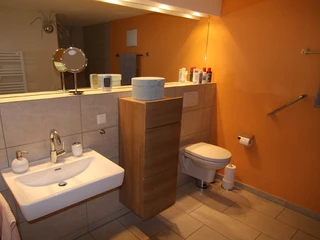 fewo-adelshof-badezimmer Badezimmer mit Toilette, Waschbecken und großem SpiegelBathroom with toilet, washbasin and large mirror