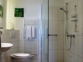fewo-fromme-bad ebenerdige Dusche mit fester Duschabtrennung und daneben WC