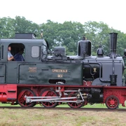 Historische Dampflok namens "Spreewald" auf einer grünen Wiese mit Bäumen im Hintergrund, seitlich fotografiert.