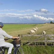 fahrrad-fahren-am-langwarderdeich-2