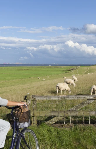fahrrad-fahren-am-langwarderdeich-2