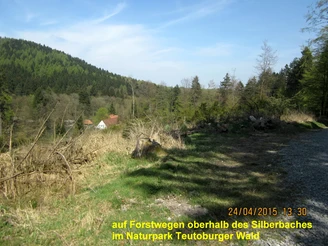 Waldreicher Hang im Naturpark Teutoburger Wald mit Ausblick auf vereinzelte Häuser im Tal.